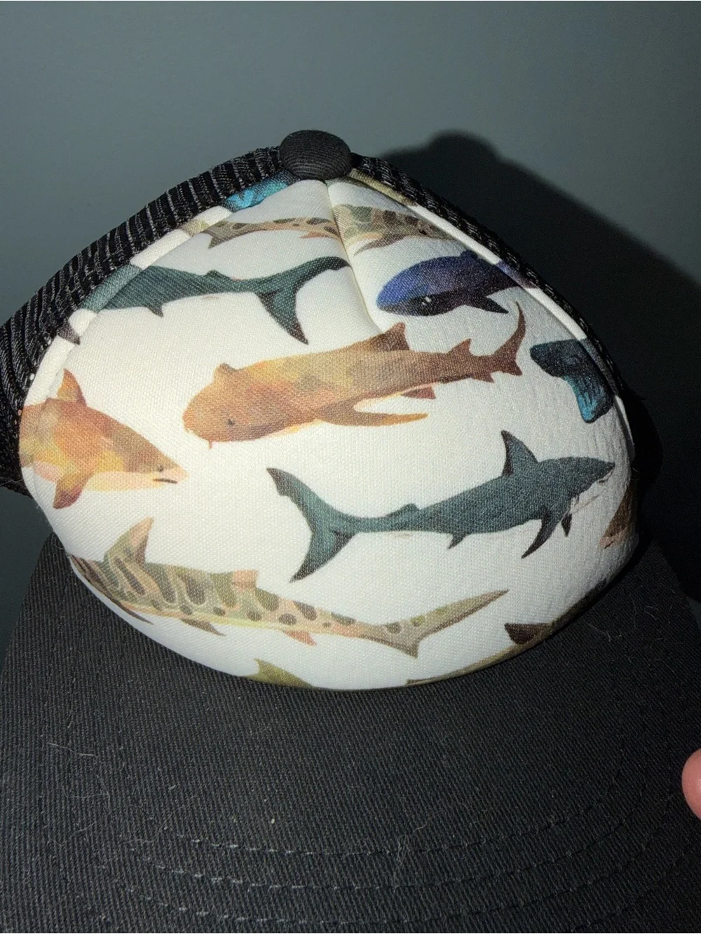Knuckleheads Kids Shark Print Trucker Hat - Black Brim XS 6-12m